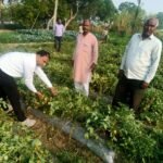 कृषक महेश शाक्य ने तकनीकी खेती से की आर्थिक स्थिति मजबूत जिले में किया नाम रोशन