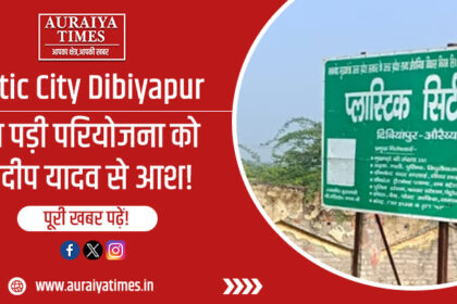 प्लास्टिक सिटी दिबियापुर