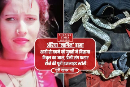 औरैया नागिन ड्रामा