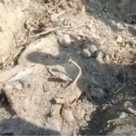 सहायल के सिखू गांव में सरसों के खेत में दफन मिली संदिग्ध मोटरसाइकिल