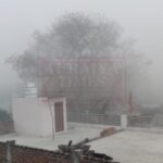 औरैया मौसम: मार्च की तपती गर्मी के बीच पूरे जनपद में छाया घना कोहरा