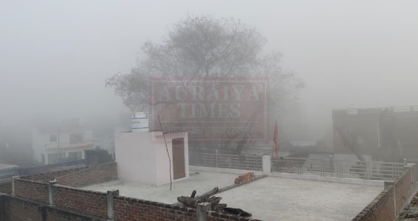औरैया मौसम: मार्च की तपती गर्मी के बीच पूरे जनपद में छाया घना कोहरा