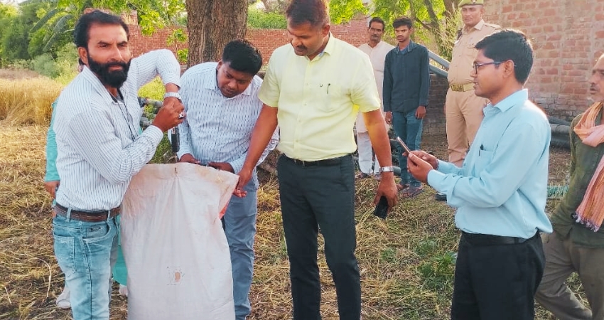 औरैया: चिचौली गांव में एडीएम की मौजूदगी में गेहूं की क्रॉप कटिंग, पैदावार का हुआ आकलन
