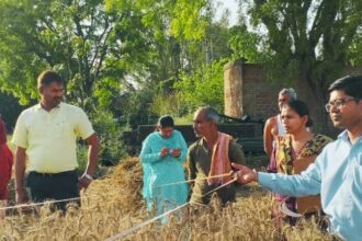 चिचौली गांव में एडीएम की मौजूदगी में गेहूं की क्रॉप कटिंग